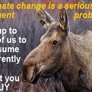 GridEdgeNews's tweet card. GridEdge SoNick batteries (@grid_edge) • Instagram photo