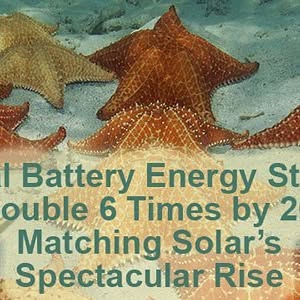 GridEdgeNews's tweet card. GridEdge SoNick batteries (@grid_edge) • Instagram photo