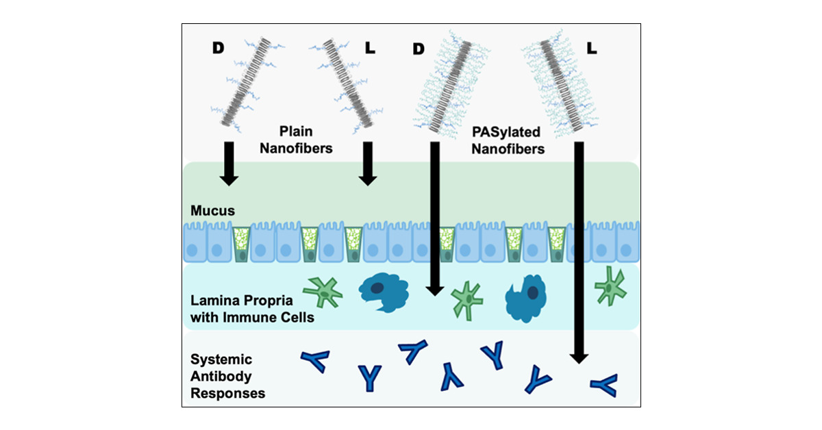 LabCollier's tweet card. Oral immunization is a promising strategy for preventing and treating gastrointestinal (GI) infections and diseases, as it allows for direct access to the disease site. To elicit immune responses...
