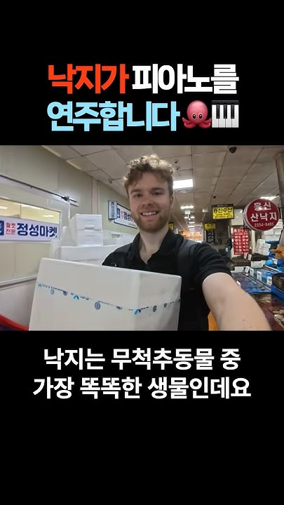 firelabs_'s tweet card. 낙지가 피아노를 배웠다 🐙