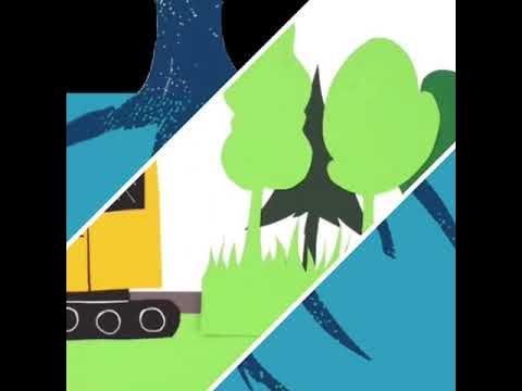 buenas_raices's tweet card. Las raíces de Buenas Raíces