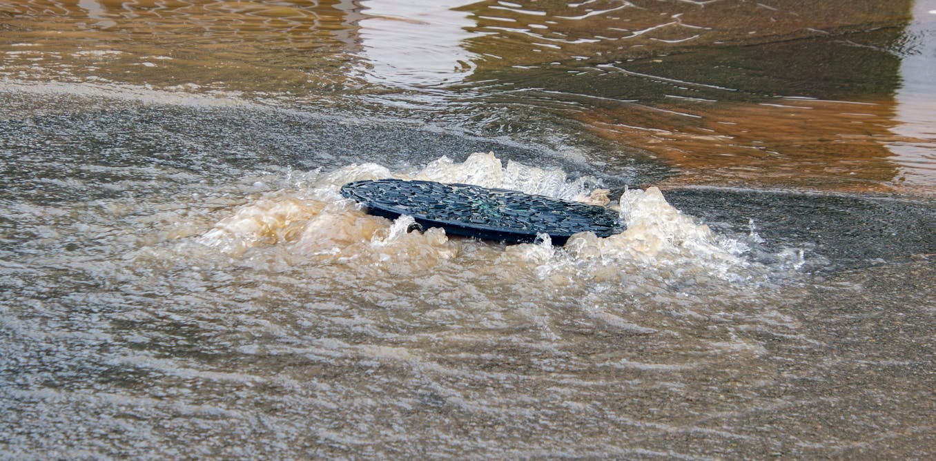 mfranco_bc3's tweet card. Para afrontar unos acontecimientos como los vividos los pasados días en Valencia tras la DANA no solo hacen falta equipos de rescate cualificados: el verdadero reto es devolver a la población a la...