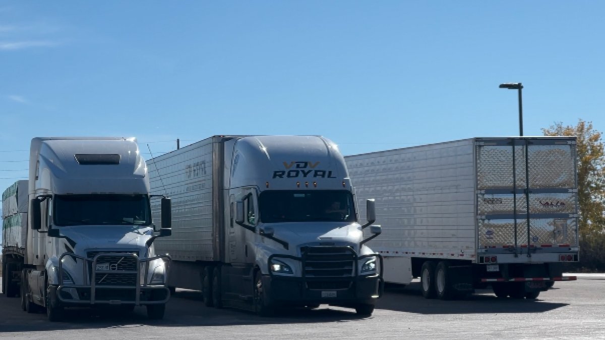 scottoftampa's tweet card. Recent fatal semi truck crashes near Bozeman highlight safety concerns. Drivers and experts share tips for safe commercial vehicle operation.