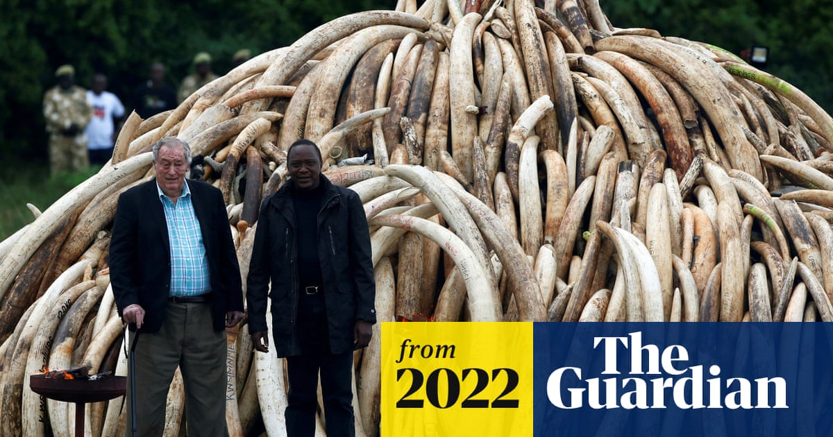 helpanelephant's tweet card. Kenyan conservationist found oldest near-complete human skeleton in 1984, dating from 1.5m years ago