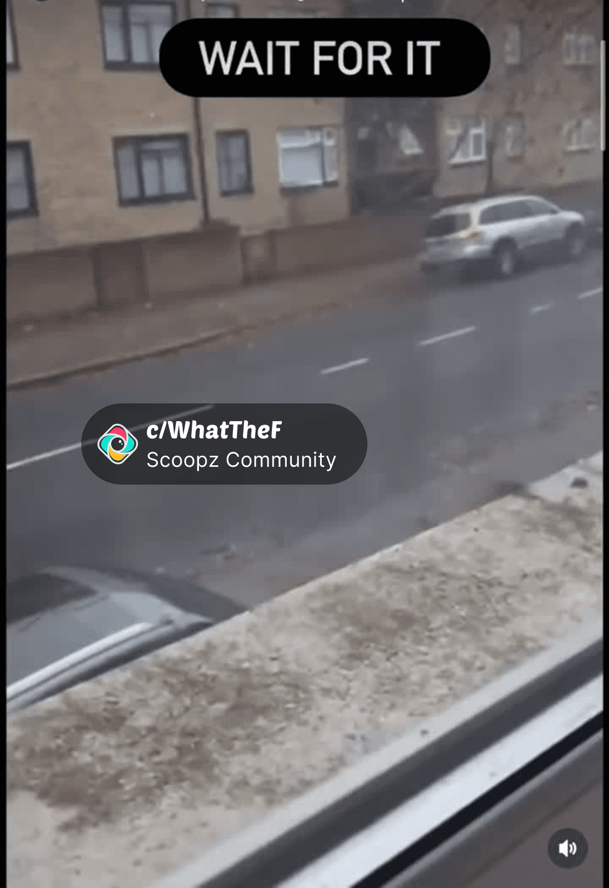 AndrewJ47825607's tweet card. Himalayan mobtied shared this video. This bird just glitched in real life 🤯 #GlitchInTheMatrix #RoboticBird #WTF