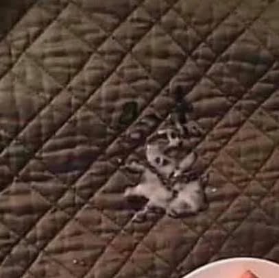 diskoboogie3's tweet card. Disko Boogie (@unkledisko) • Instagram photo