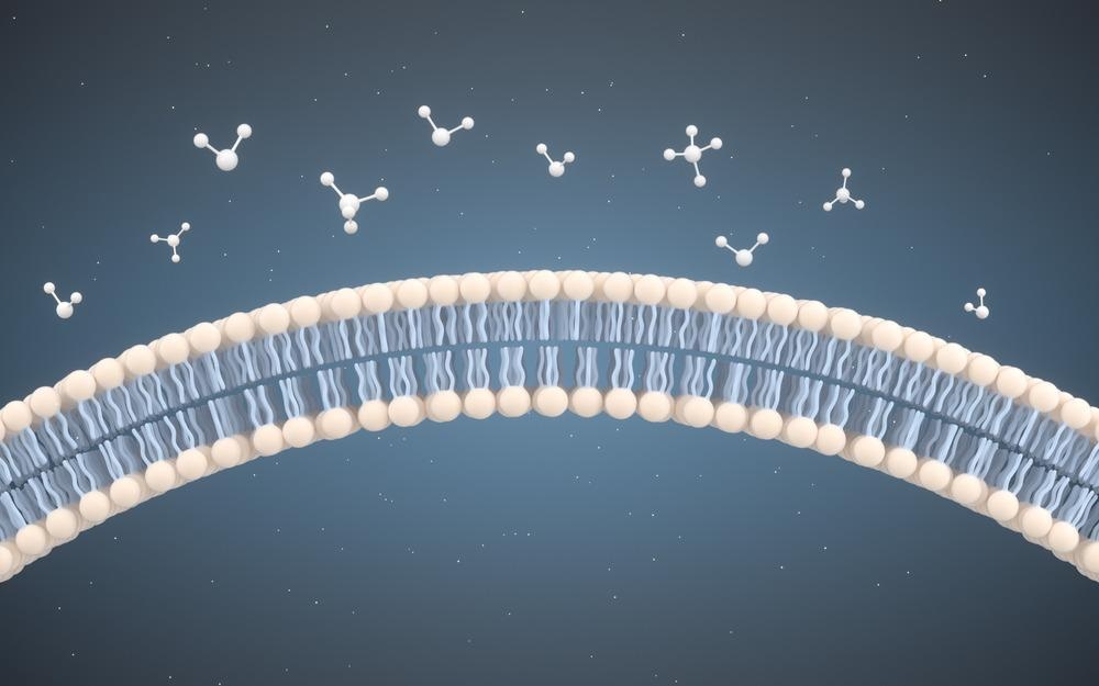 azom's tweet card. Membrane fouling occurs when insoluble contaminant material is deposited on the membrane surface or within membrane pores, and this can cause deterioration. This article explores how AFM is utilized...