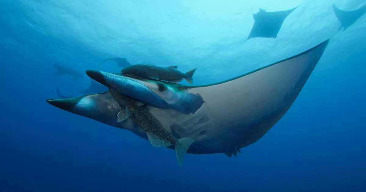 THINQTANQSPACES's tweet card. Former University of Plymouth graduate Marcus reveals all about the work he put into the huge project