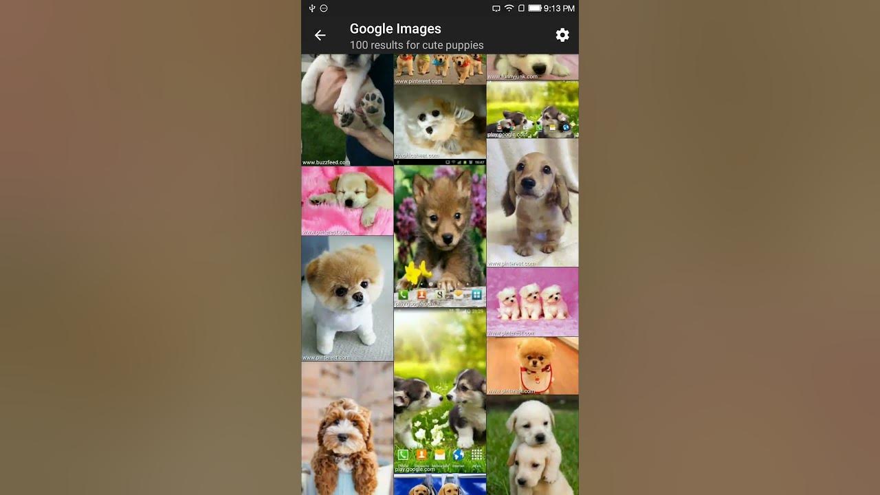traversient's tweet card. picTrove 2 Android basic intro