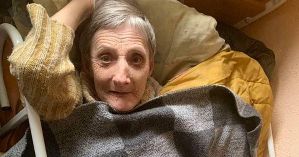 VGNbranche's tweet card. De Nederlands hulporganisatie SOFT tulip is een inzamelactie gestart voor instellingen in Oekraïne waar kinderen, volwassenen of ouderen met een verstandelijke, psychiatrische of meervoudige beperk...