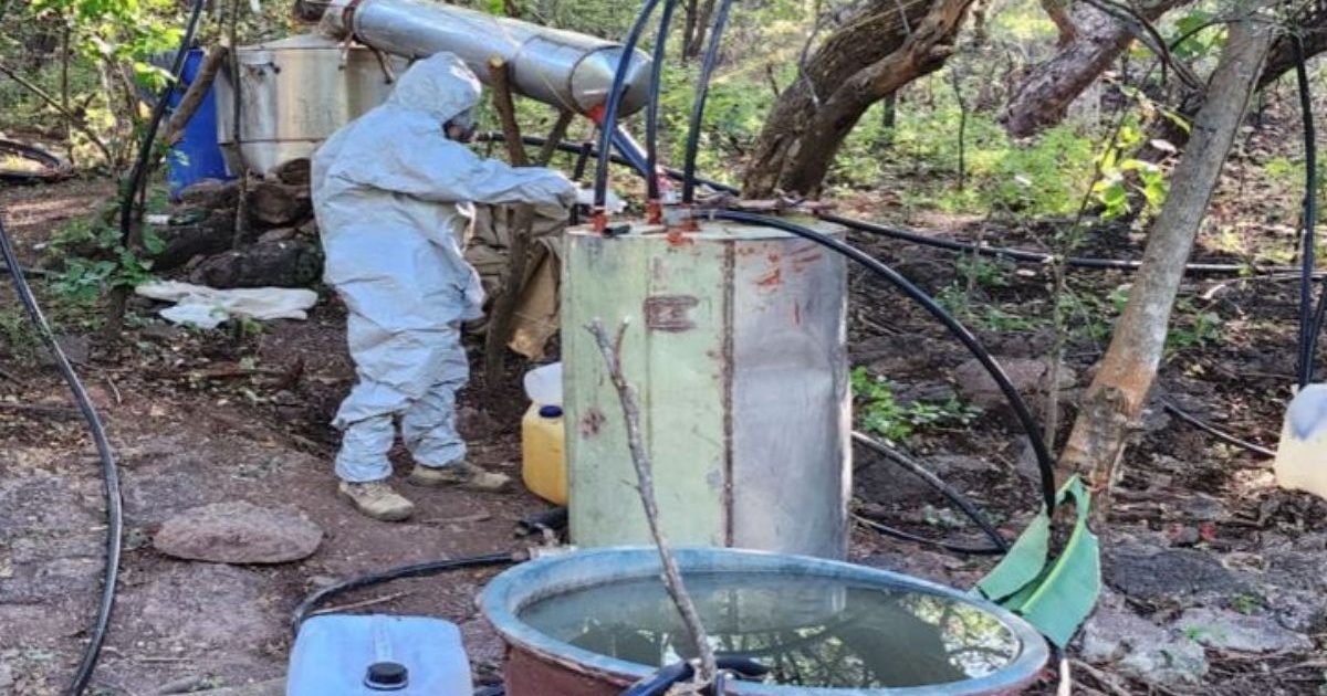 heraldousa's tweet card. In nine months, law enforcement officials reported the seizure of 107,265.9 kg of drugs, including 493.92 kg of fentanyl, in the operation