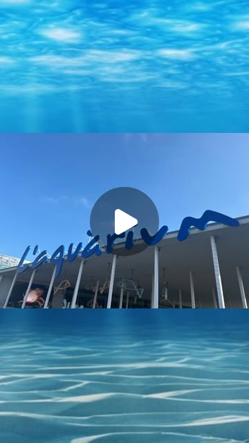 apdir2015's tweet card. APDIR (@a.p.d.i.r) • Instagram reel