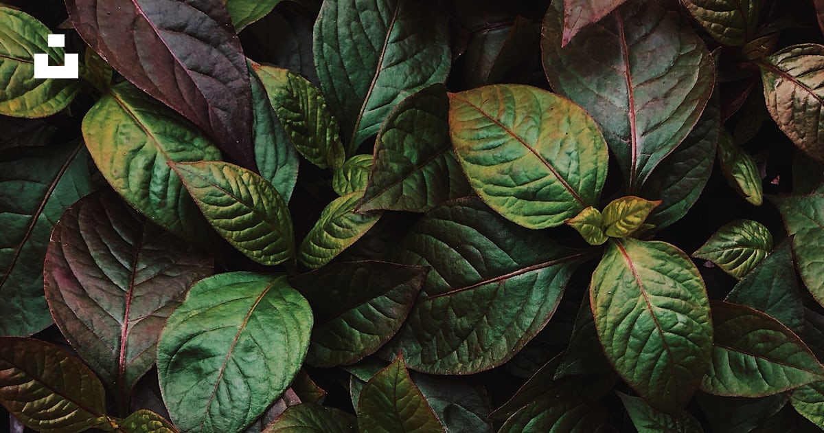 raju_binu's tweet card. Lost inside – Download this photo by Yousef Espanioly on Unsplash