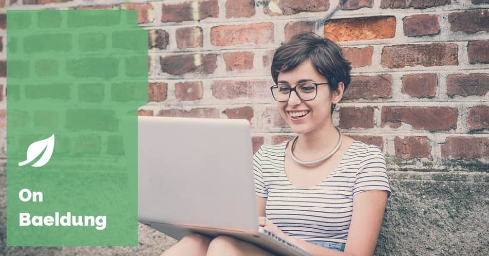 baeldung's tweet card. The final results of the "Java in 2017" Survey.