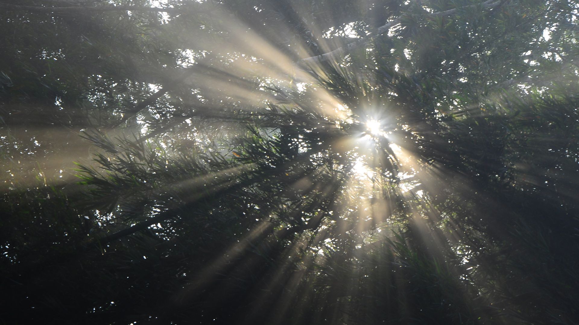DiversamenteWeb's tweet card. El vicepresidente de SALUD MENTAL ESPAÑA y presidente de Salud Mental Ceuta (ACEFEP), Basilio García, nos invita en este texto a examinar el mundo que construimos en nuestro interior. El vicepresid...