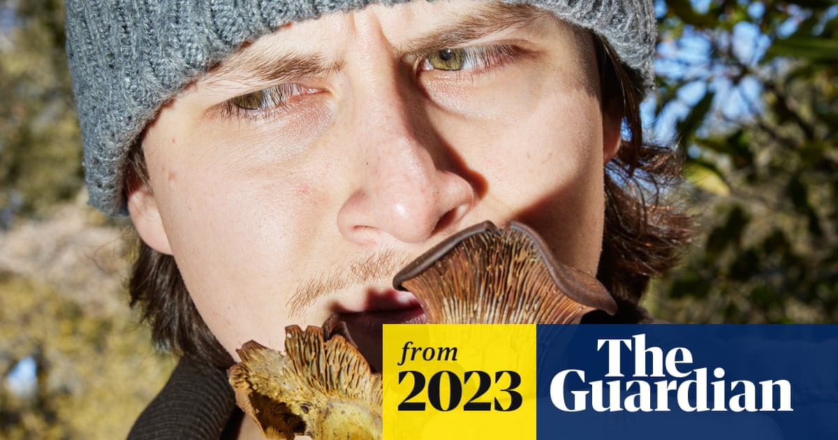 kategammon's tweet card. Unusual weather has created the ideal conditions for fungus, delighting foragers and researchers