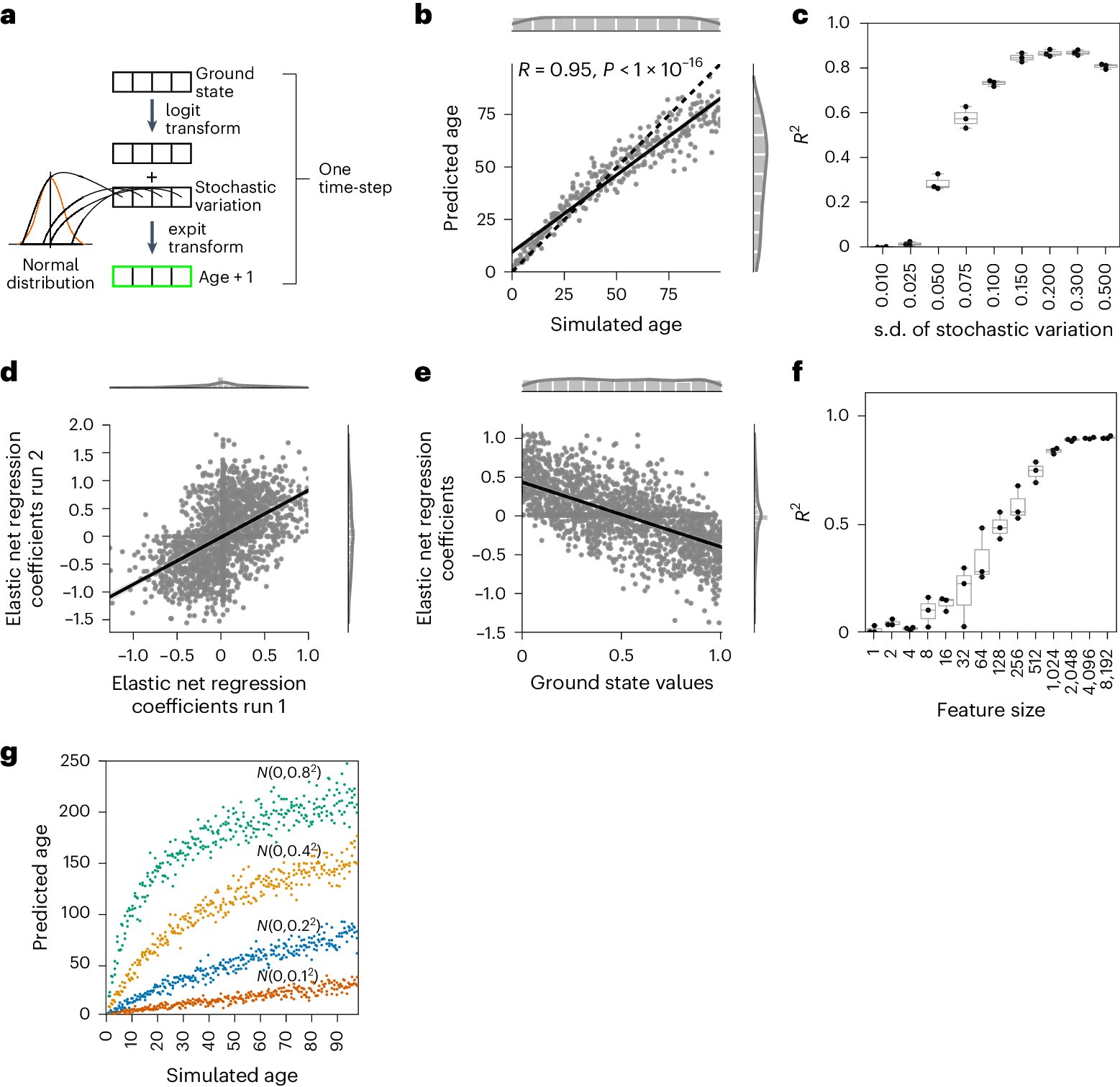 schumacherbj's tweet card. Nature Aging - Meyer and Schumacher use simulations to show that accumulation of stochastic variation is sufficient to build clocks that can measure both chronological and biological age, sensitive...