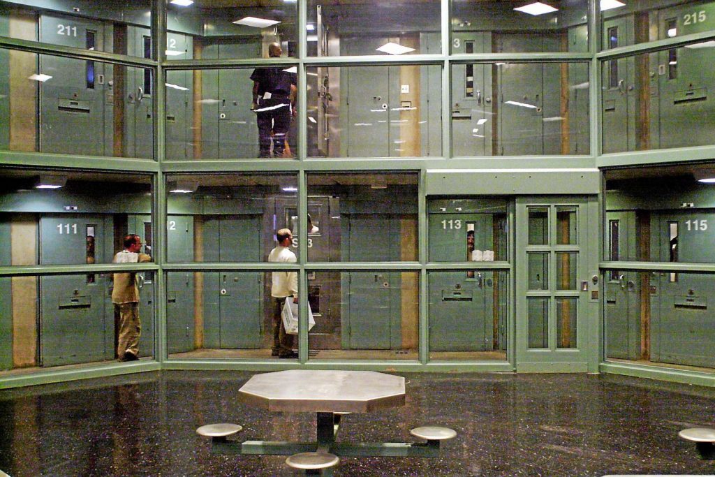 johnpilger's tweet card. Critical * Radical * Australia * Earth