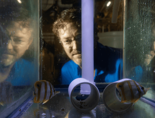 tampafreepress's tweet card. Florida’s multi-million-dollar pet fish trade is skyrocketing.