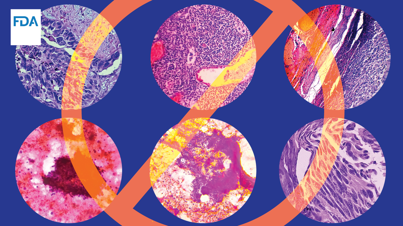 FDAOncology's tweet card. A newsletter for oncology/hematology fellows, junior faculty and scientists