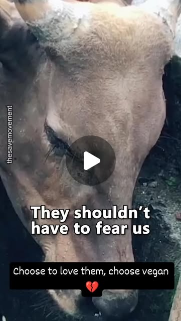 RavenTW's tweet card. Trish Raven (@raventw) • Instagram reel