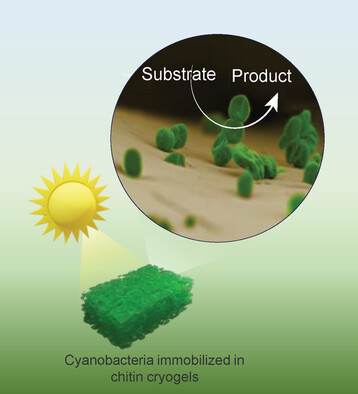 VArumughan94's tweet card. Biomimetically cross-linked nanochitin cryogels are used for immobilization matrix for a solid-state cell factory. The resulting cryogels with hierarchical porosity manage to overcome the conventio...