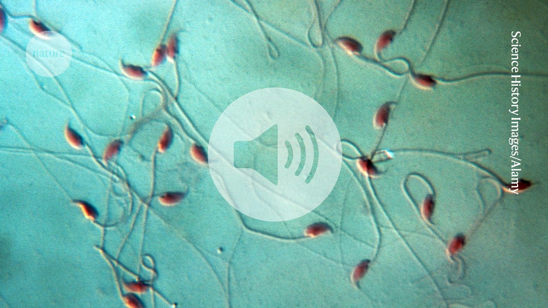 hackettlab's tweet card. Nature - Hear the biggest stories from the world of science | 1 May 2024