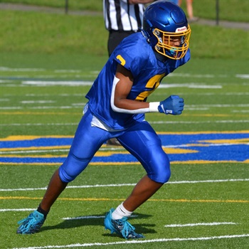 Tweet card summary image