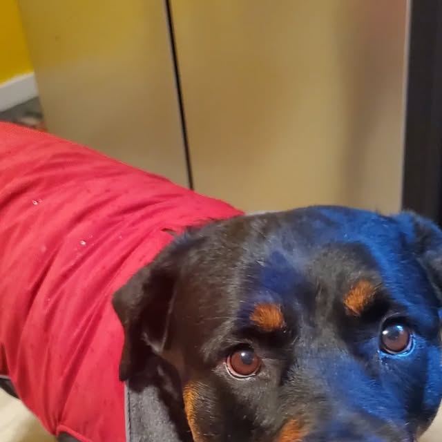 DocMarthaSF's tweet card. doc martha she, her (@docmartham) • Instagram photos and videos