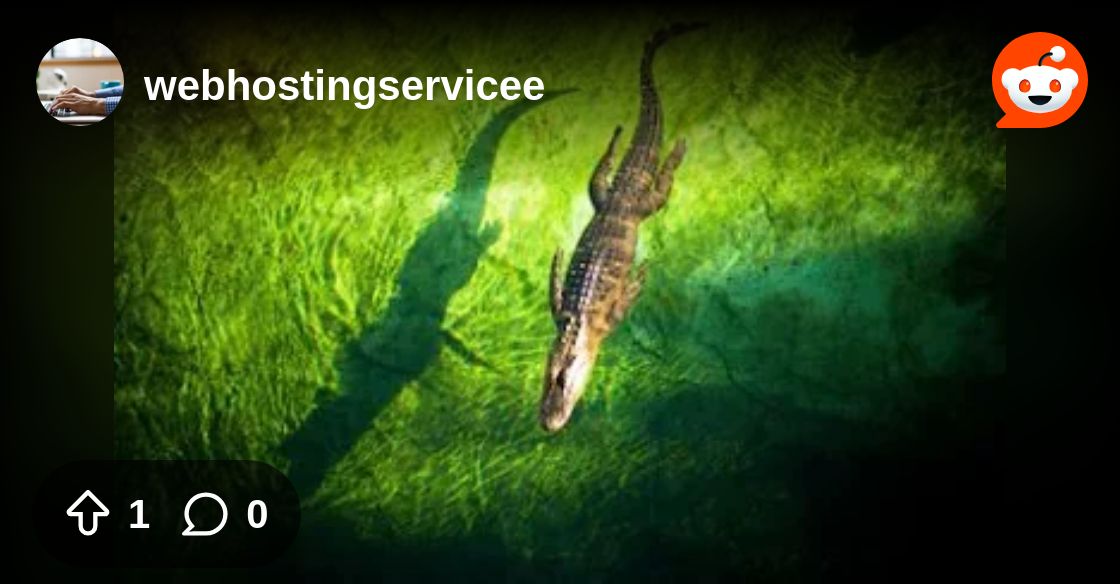 WebHostingServ3's tweet card. Explore this post and more from webhostingservicee's profile