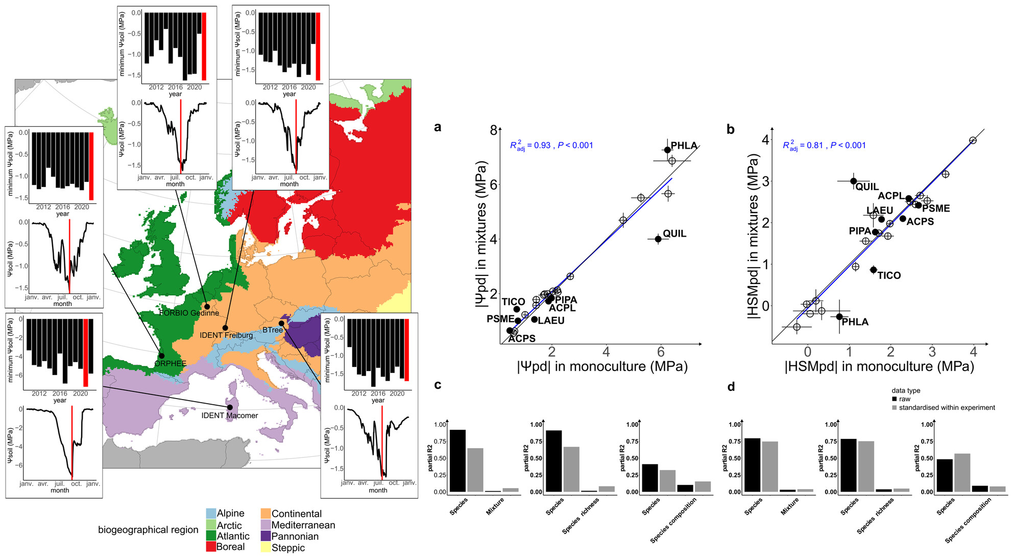 HCochard's tweet card. Written Summary: Working with more than 20 species and 5 experimental forests in different European biomes, we show that the risk of a tree dying under extreme drought is mainly determined by its...