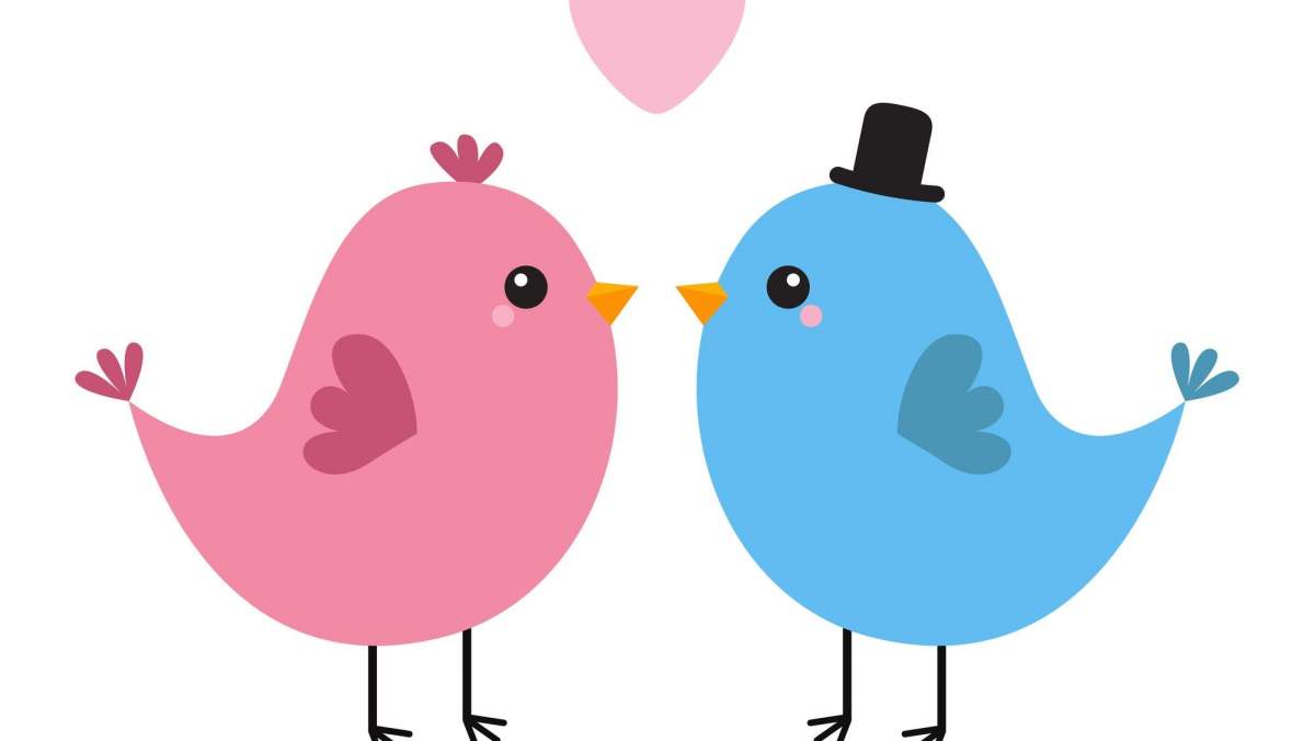 DiarioRotativo's tweet card. La prueba del pajarito arrasa en TikTok con 10 millones de vistas y predice con 86% de precisión si tu relación durará. Descubre qué revela la respuesta de tu pareja.