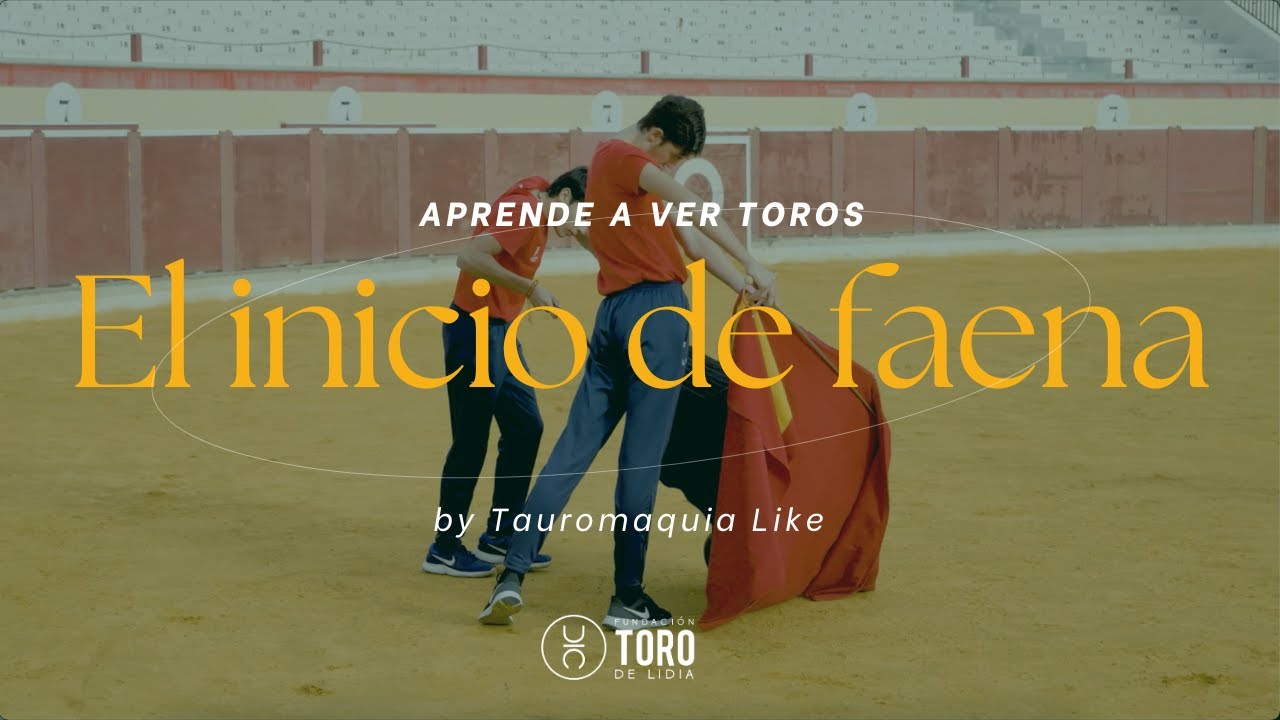 ftorodelidia's tweet card. El inicio de faena | APRENDE A VER TOROS by Tauromaquia Like