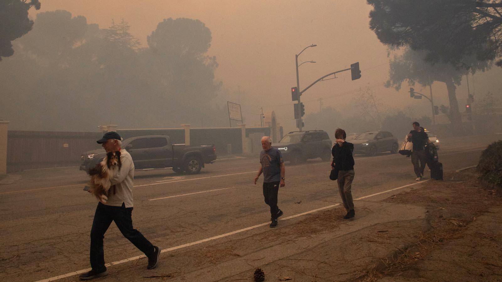 VenusianAndroid's tweet card. The toxic smoke from the fires, combined with disruption to the economy, health care system, and mental health may lead to thousands of deaths over the coming years.