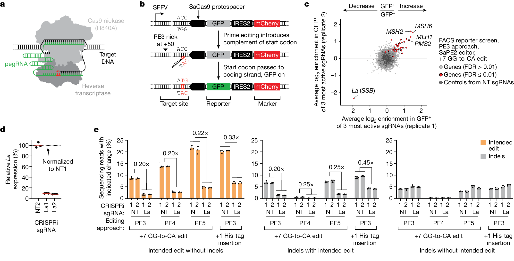 bsadamson's tweet card. Nature - Genome-scale genetic screens identify the small RNA-binding protein La as a strong mediator of prime editing.