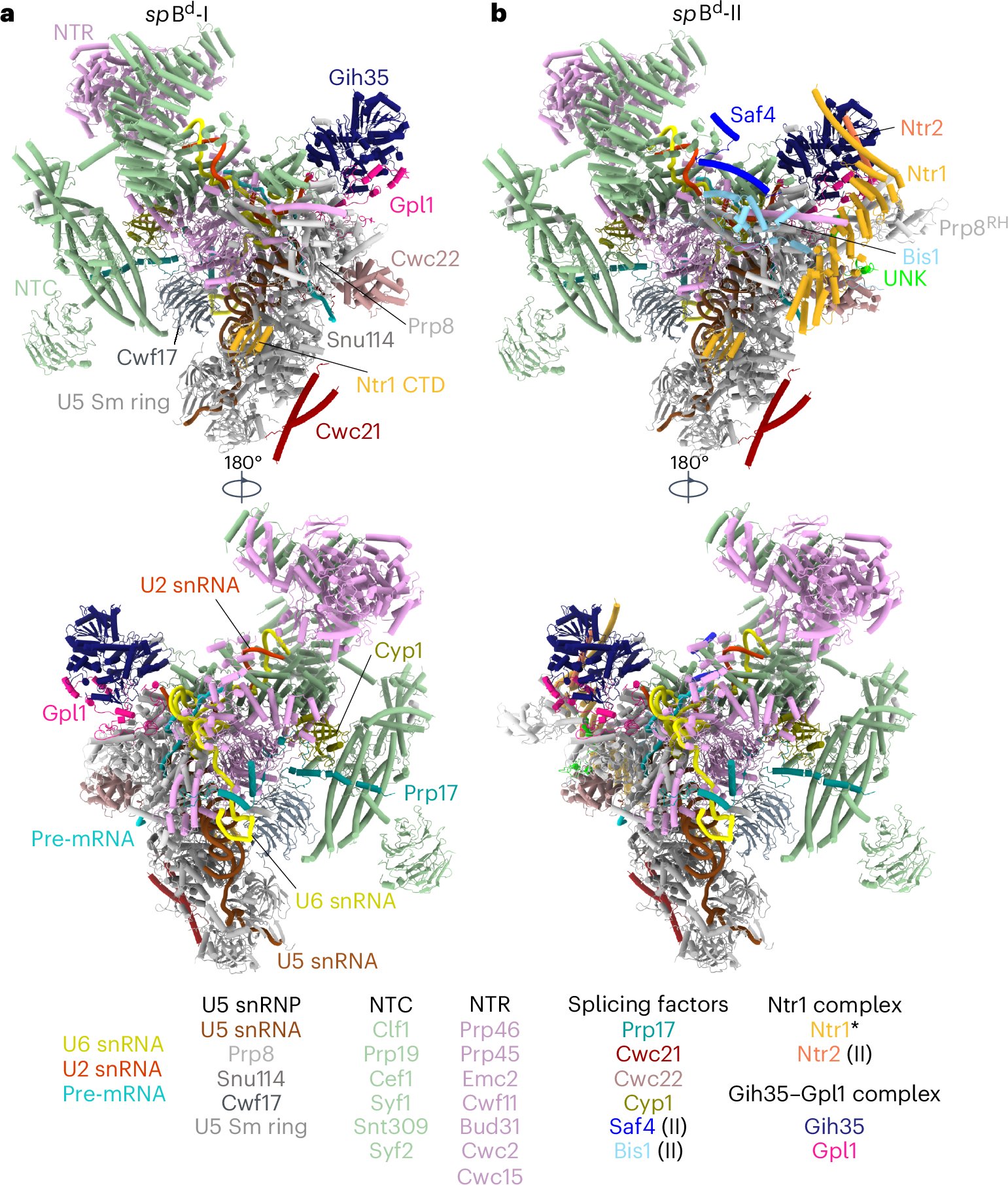 Komal_Soni02's tweet card. Nature Structural & Molecular Biology - Here, the authors provide insights into a splicing quality control mechanism. The Gpl1–Gih35 complex binds to the active site of aberrant...