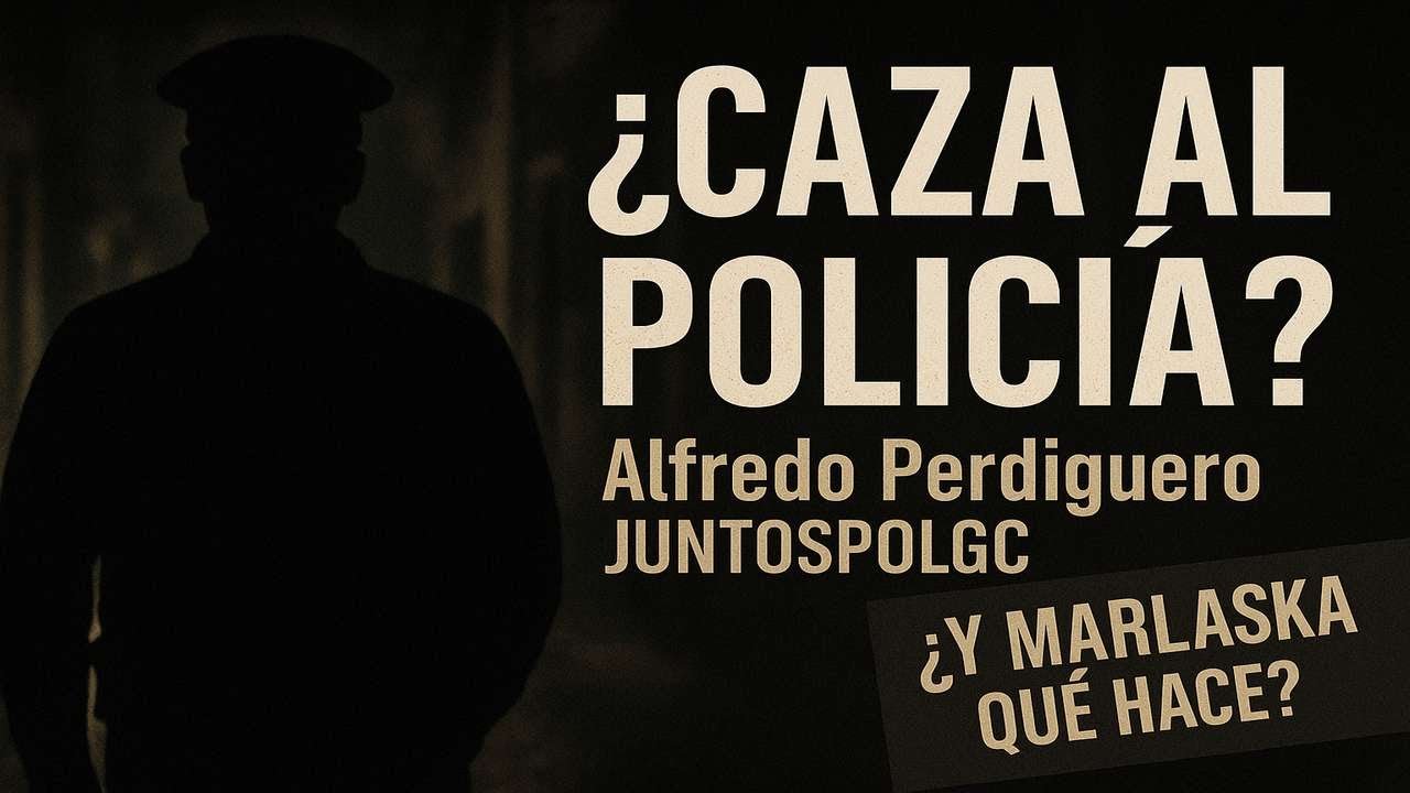 AlonsoHolguinFJ's tweet card. Alfredo Perdiguero –JUNTOSPOLGC–: agresiones agentes libres de...
