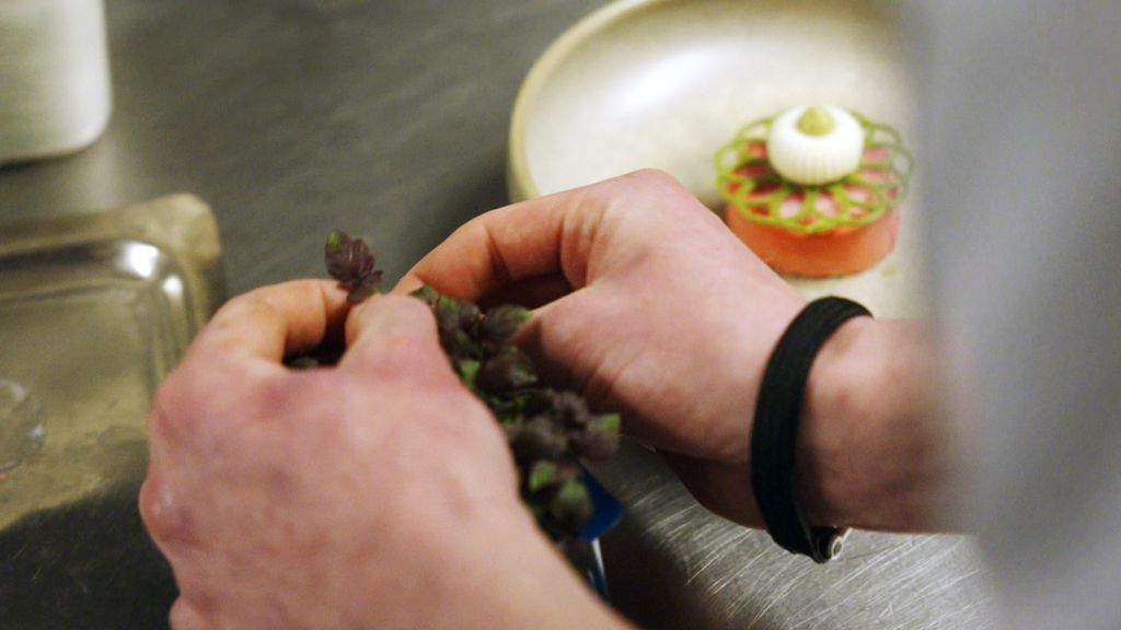 Nieuwsuur's tweet card. Ook de hoogste culinaire opleiding van Nederland ziet dat in sommige keukens nog te veel een "ouderwetse" werkcultuur heerst.