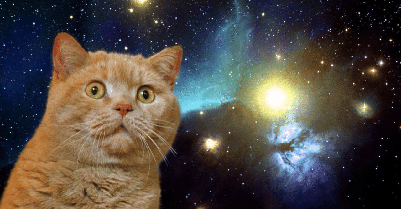 meer_kato's tweet card. 突然なんですが普段オナホとか使ったりしますか？ オナホすなわち『オナニーホール』のことです。 僕はツイッターを代表するオナニストとして日々オナニー研究には余念がないのですが、もちろんオナホも使います。 今回そんなオナニストである僕のもとに『オナホのレビュー記事を書いてくれませんか？』という、願ってもない仕事の依頼がきました。 長年オナニー研究をし続けてきましたが『ついにオナニーの仕事がくるよ...