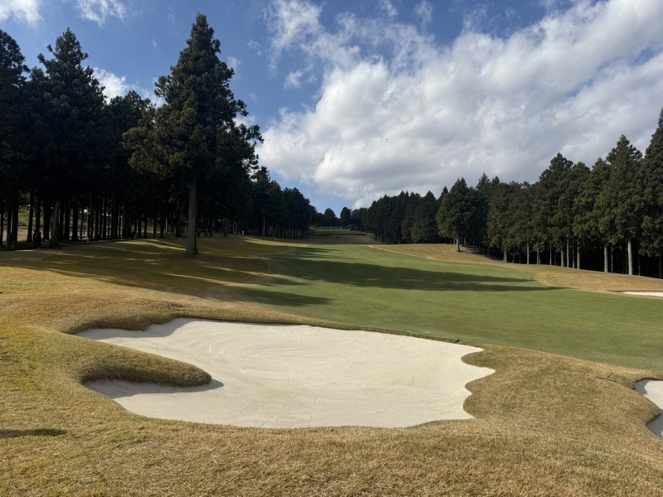 OCGOT1616's tweet card. 週末に訪れたゴルフコース はじめに M3の岩佐(@bloody_snow)です。 最近は M3 Technologies にてM3グループ各社のエンジニアリング支援をメインで担当しています。エムスリーキャリア株式会社と株式会社イーウェルで取締役を勤めていますので、興味のある方はこれらの会社もよろしくお願いいたします。 …