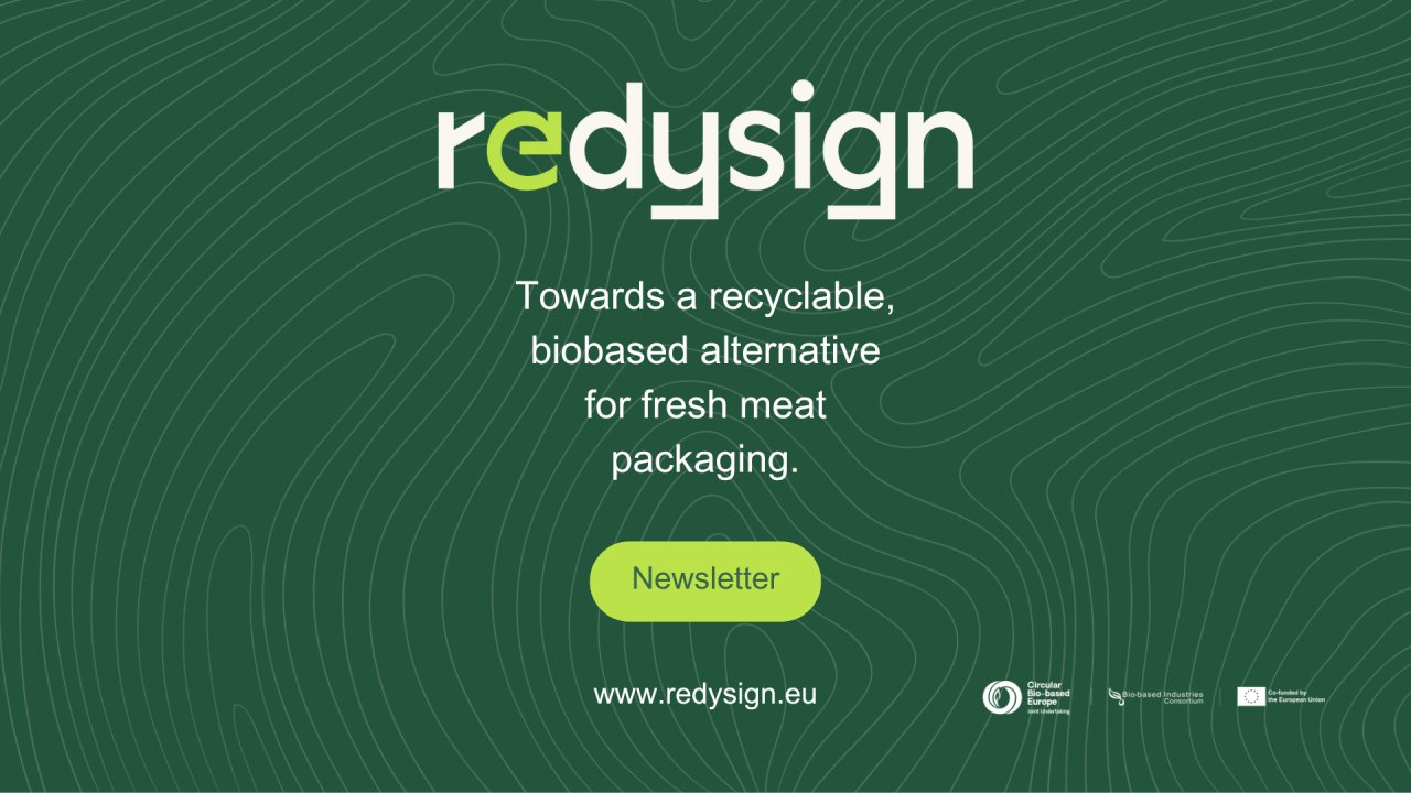 REDYSIGNProject's tweet card. We are back with fresh energy this September and excited to share the latest highlights of the REDYSIGN project! Over the past months, we have reached one of our key milestones: the integration of...