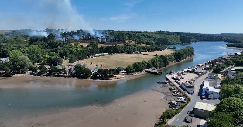 Tweet card summary image