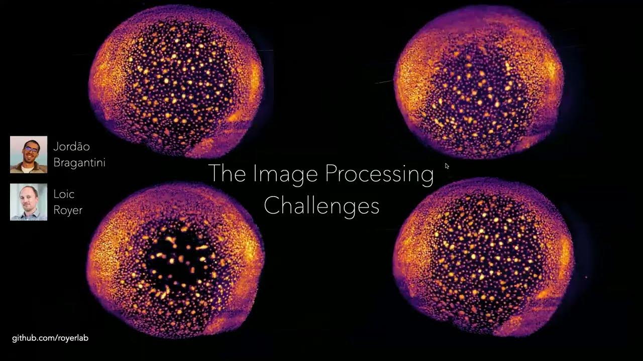 GDR_ImaBio's tweet card. Merlin LANGE : building a Multimodal Atlas of Vertebrate Development