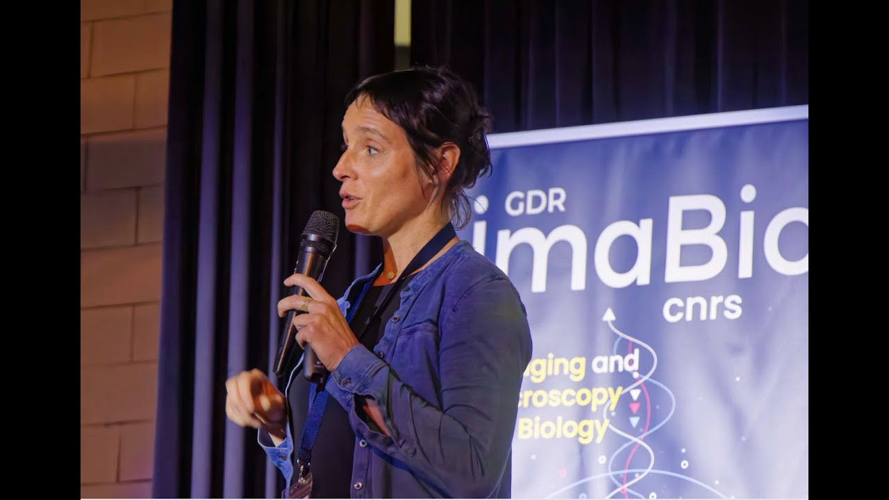 GDR_ImaBio's tweet card. Emmanuelle BAYER : how and why plant cells communicate