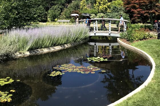 Community_Buzz's tweet card. Besides the renowned natural scenery, the city is packed with restaurants, eateries and coffee shops, which give new life to beautiful heritage buildings