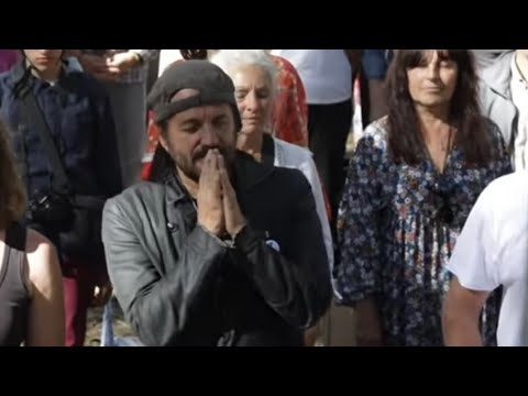 JulienPain's tweet card. Mon immersion dans les réseaux de désinformation