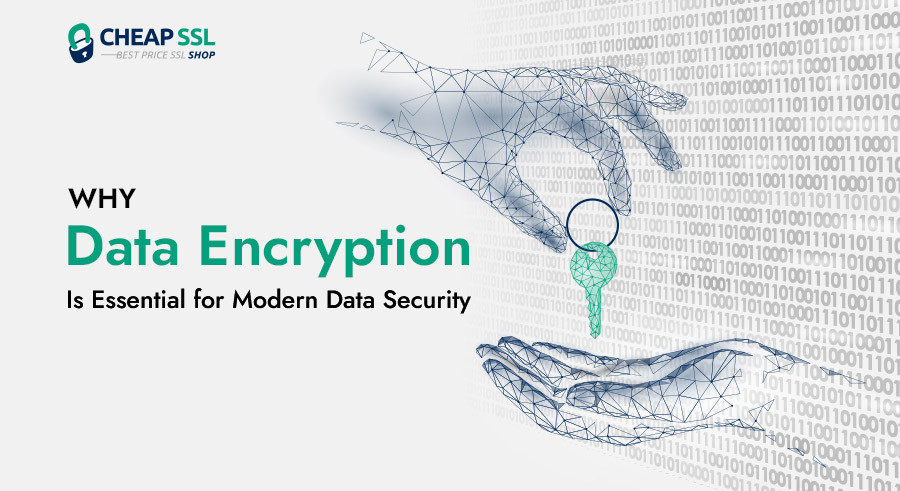 cheap_ssl_shop's tweet card. The detailed Data Encryption blog encircles its working, modern importance, types, common implementations, benefits, and best practices. Read on to know more.