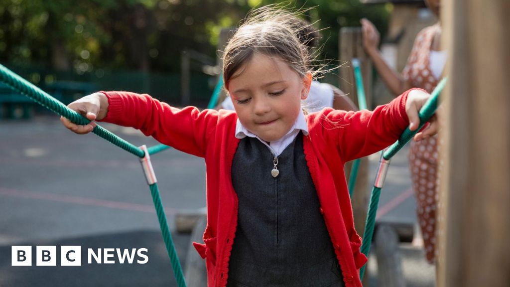 SENBlogger's tweet card. The government says it needs more time to test proposals for the special educational needs system.