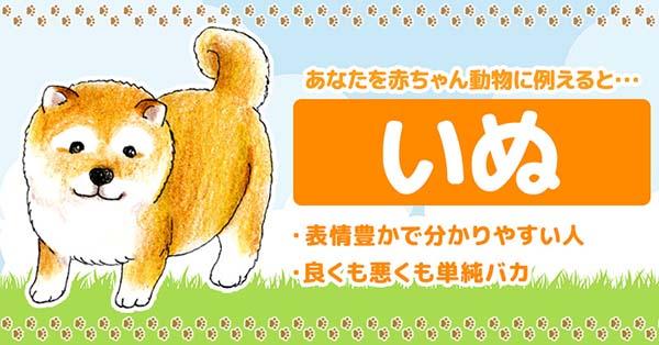 hyper0713's tweet card. あなたを赤ちゃん動物に例えると、どの動物になるのか診断しちゃいます！診断結果はツイートしてね♪レッツ診断☆彡